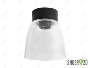 Ifö Electric plafondlamp open klara porselein zwart helder glas E27